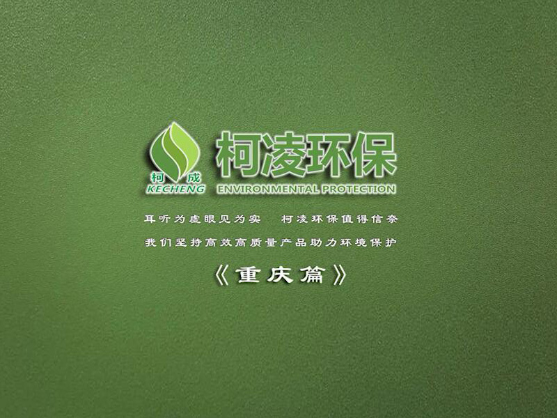 重庆大排档视频